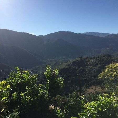 Gite , Maison De Vacances Avec Exterieur Et Terrasse Fleurie Meuble Tourisme 3 Etoiles Santa-Lucia-di-Tallano ภายนอก รูปภาพ