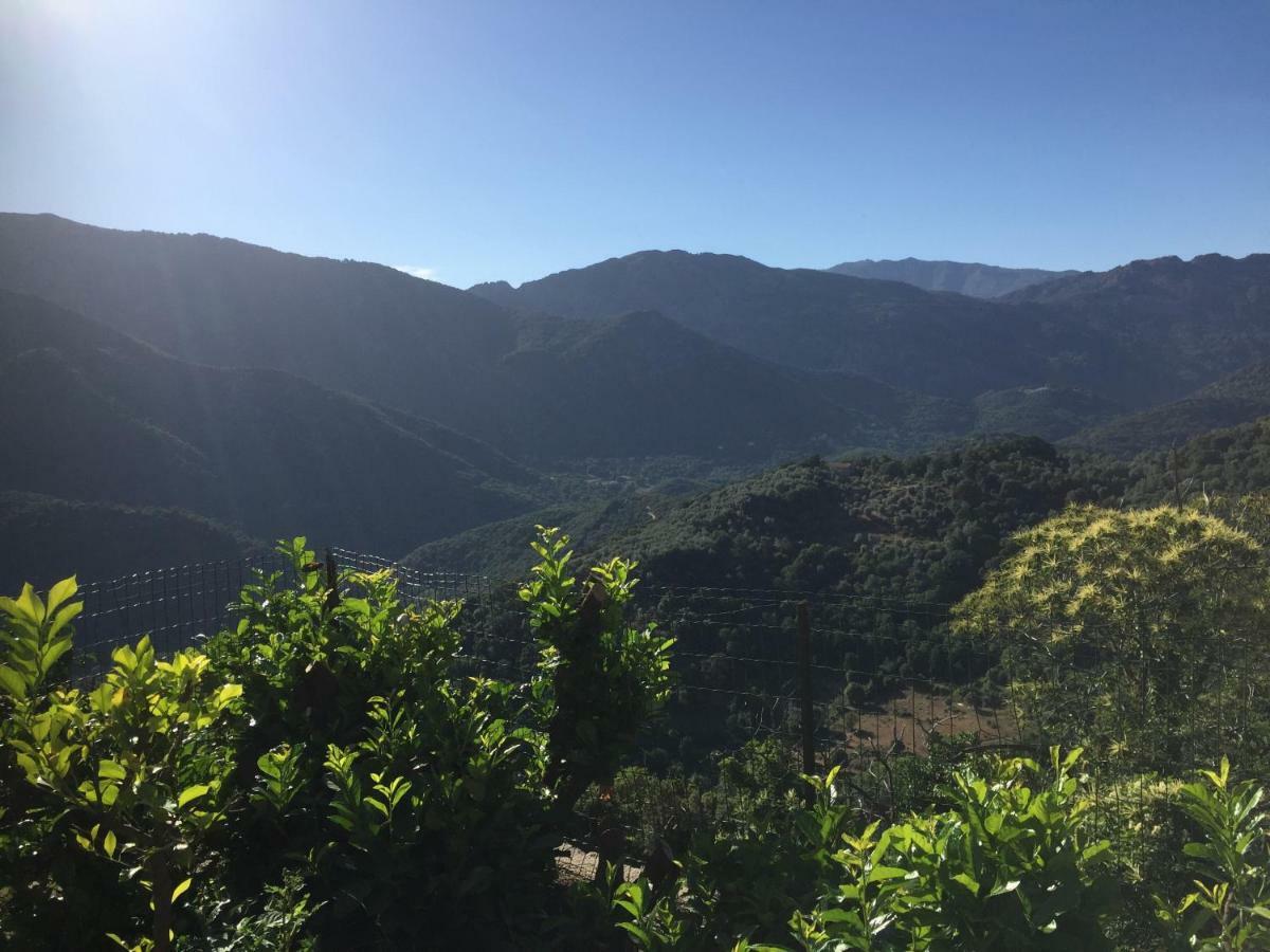Gite , Maison De Vacances Avec Exterieur Et Terrasse Fleurie Meuble Tourisme 3 Etoiles Santa-Lucia-di-Tallano ภายนอก รูปภาพ