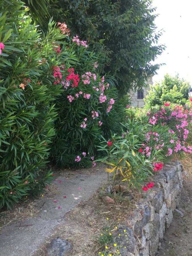 Gite , Maison De Vacances Avec Exterieur Et Terrasse Fleurie Meuble Tourisme 3 Etoiles Santa-Lucia-di-Tallano ภายนอก รูปภาพ